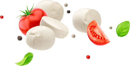 falling-mozzarella-cheese-isolated-on-white-backgr-W4UPR97-11.png